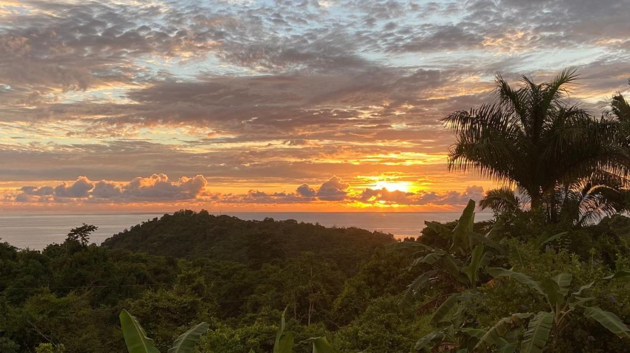 Palmetto Lodge Playa San Miguel エクステリア 写真