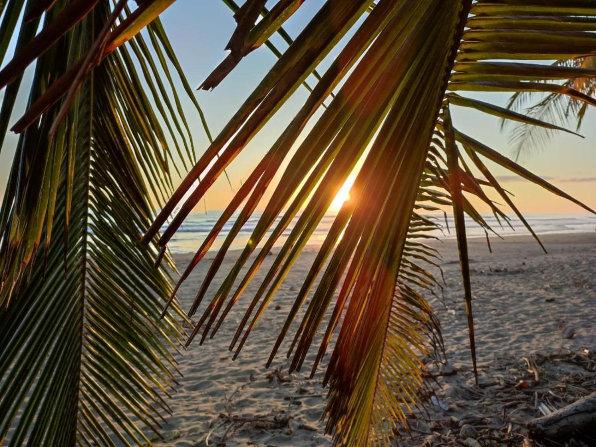 Palmetto Lodge Playa San Miguel エクステリア 写真